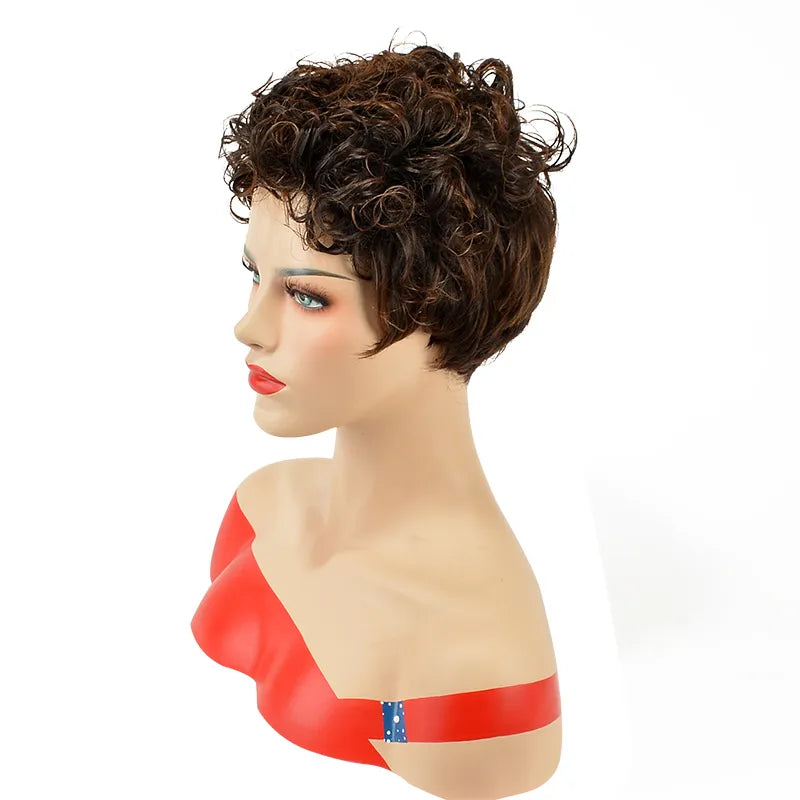 Natural African American Hairstyle Short Curly Wig