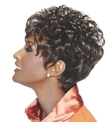 Natural African American Hairstyle Short Curly Wig